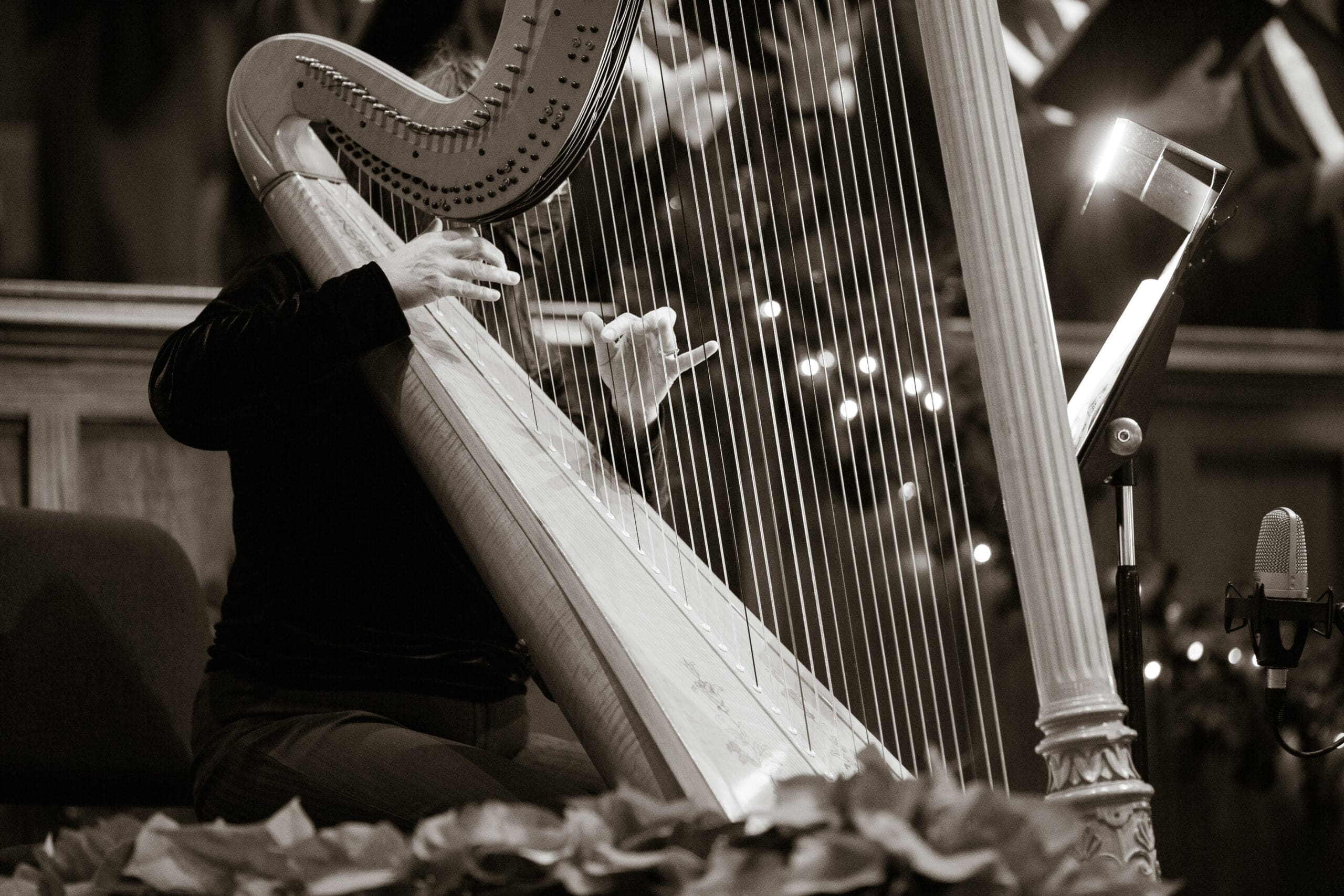 Harp 