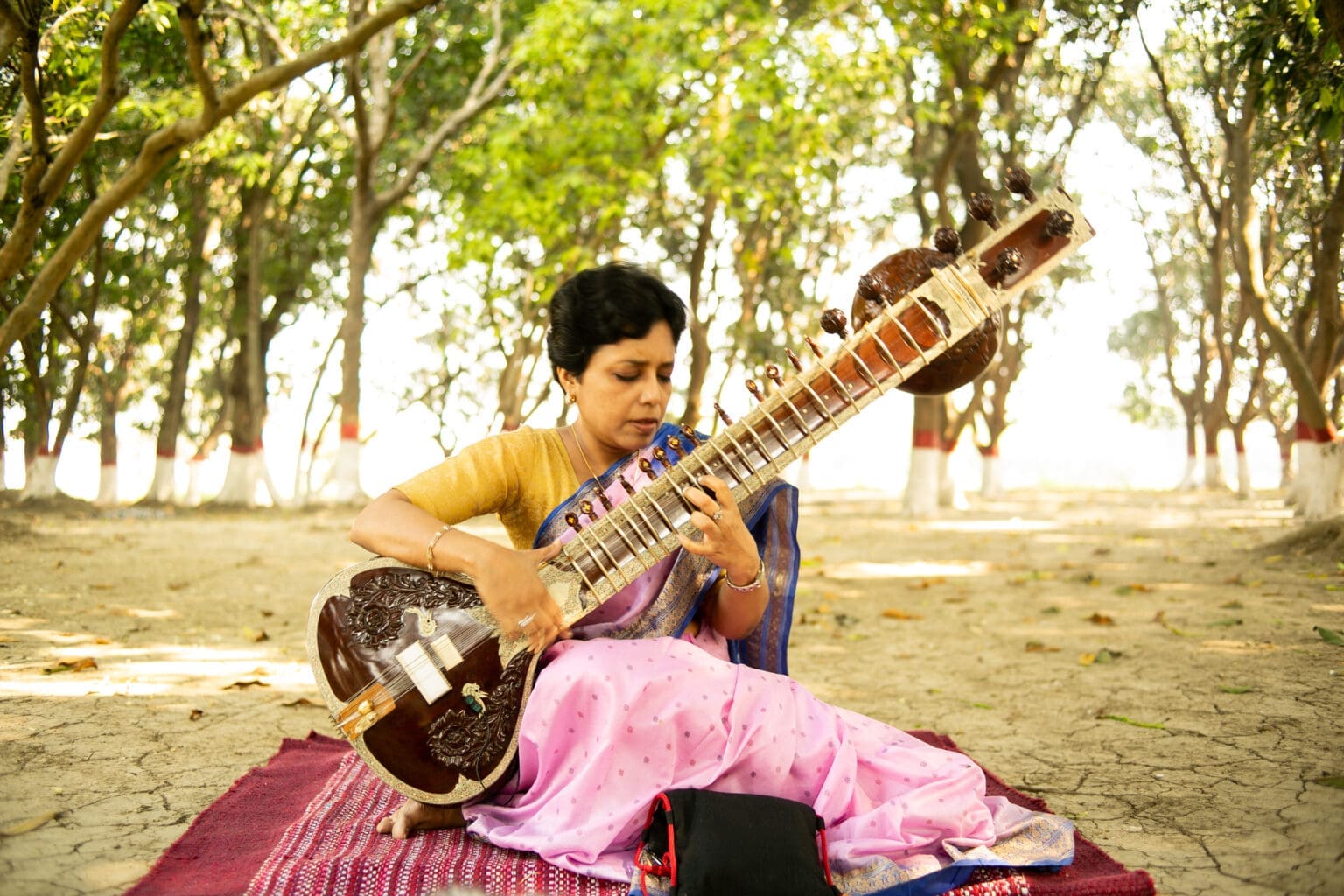 Subahar Instrument The Sitar and Surbahar: India’s most famous instrument and its bass ...